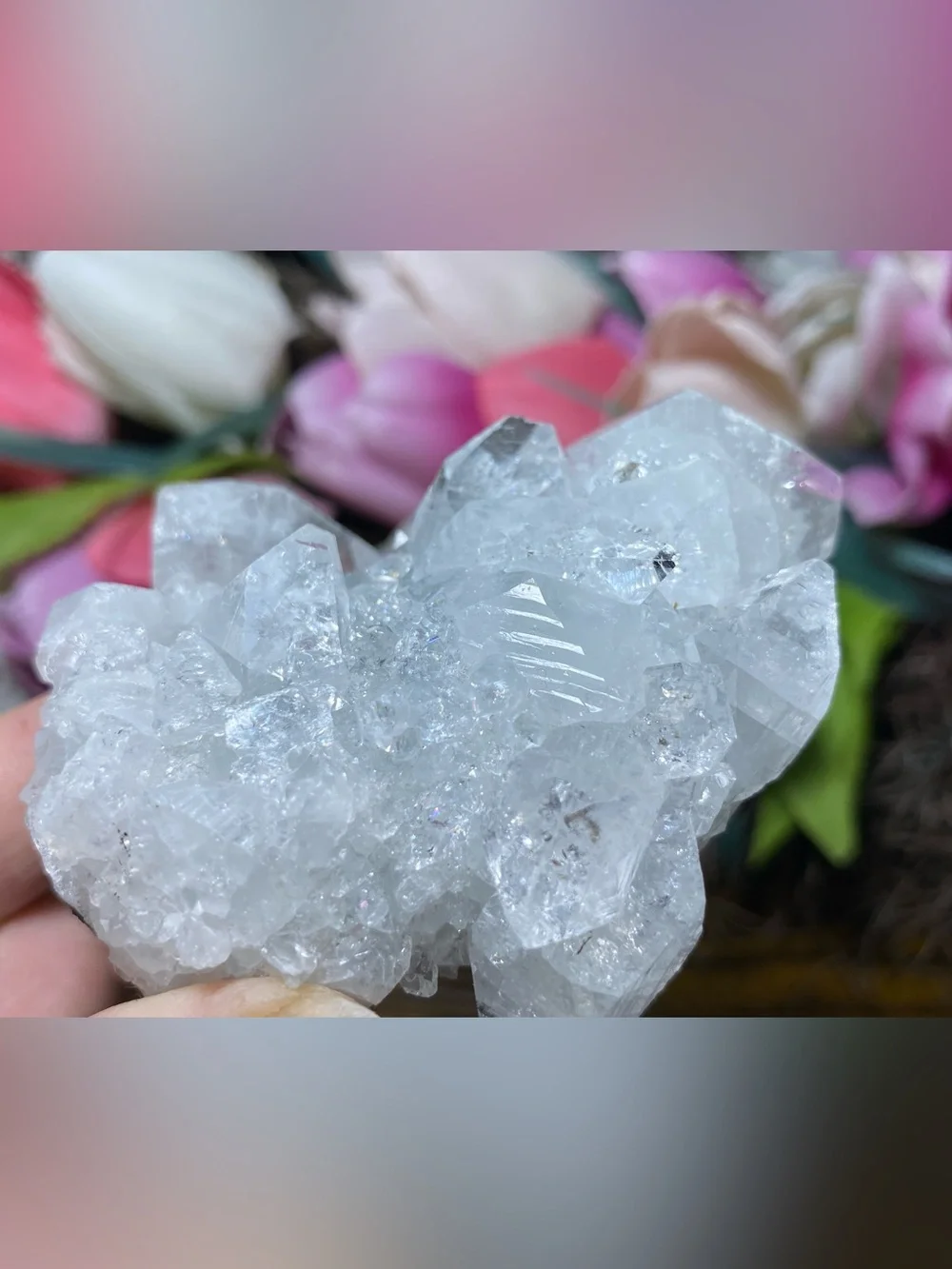 Apophyllite Stalactite Cluster